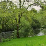 El-Río-Arnego-te-conduce-por-increíbles-espacios-verdes.